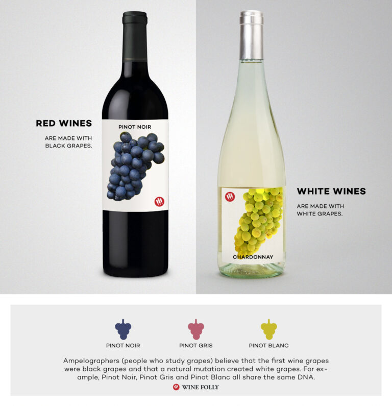 White vs Red Wine: Contrasting Wine Varieties
